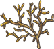 Bamboo Coral - Tan