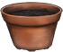 Flower Pot